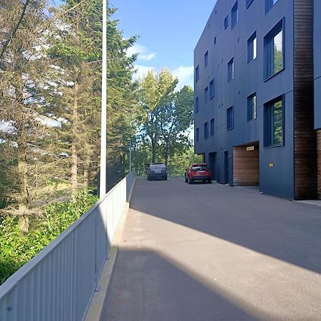 Puffin Nest, Superior Apartment Reykjavík Kültér fotó