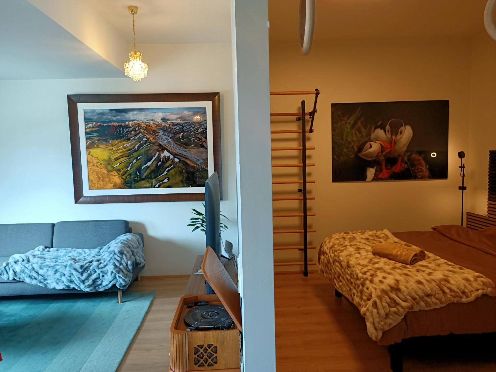 Puffin Nest, Superior Apartment Reykjavík Kültér fotó